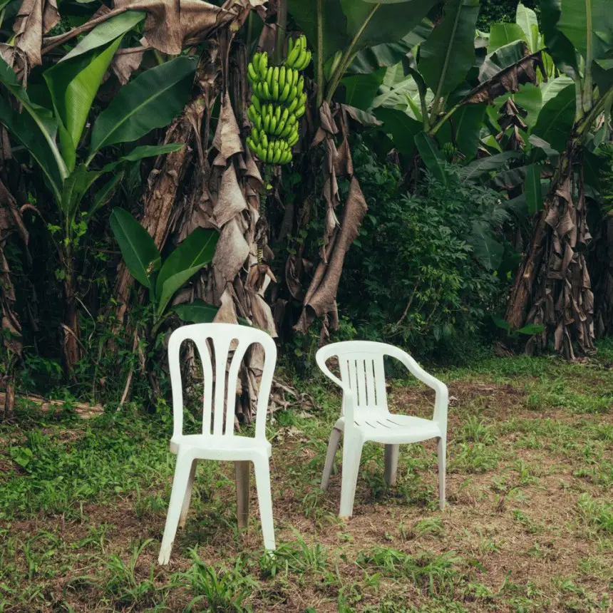 Bad Bunny lanza su octavo álbum Debí Tirar Más Fotos, fusionando modernidad y tradición caribeña