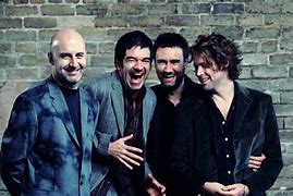 Hothouse Flowers