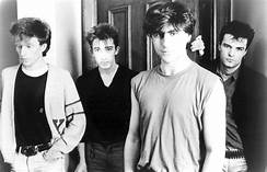 The Chameleons