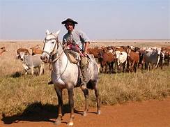 Gauchos Of The Pampa