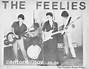 The Feelies