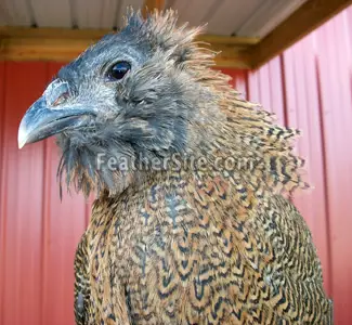 7 Days And A Miracle