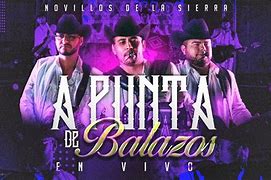 Novillos de la Sierra