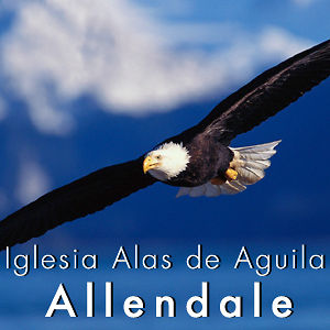 Alas de Aguila