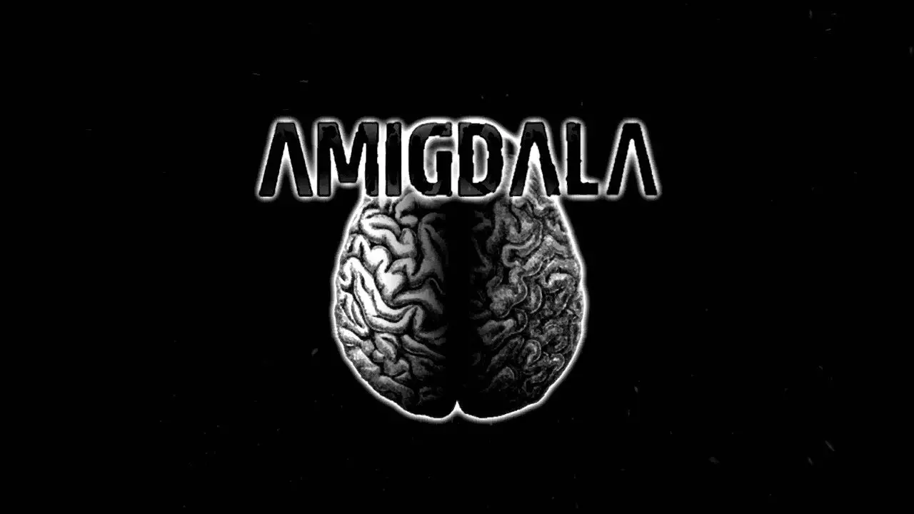 Amigdala (Indonesia)