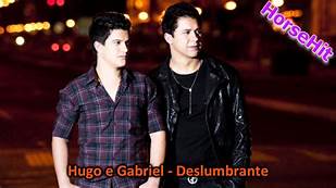 Hugo E Gabriel