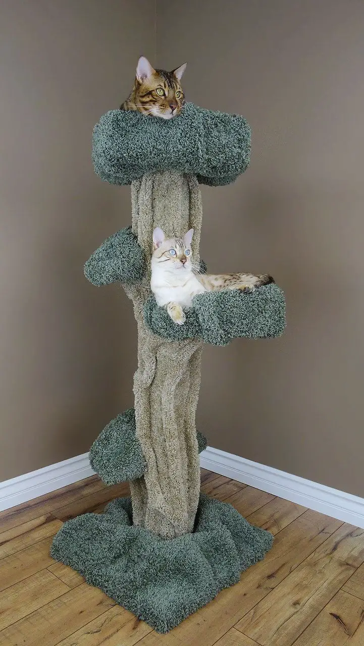 Cats on Trees