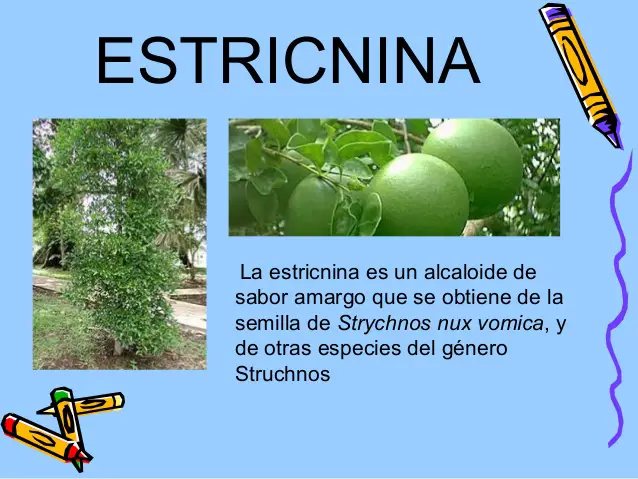 Estricnina