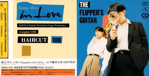 Flipper's Guitar