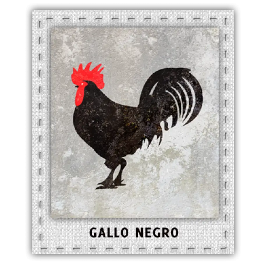 Gallo negro