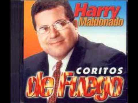 Harry Maldonado