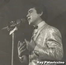 Ray Palaviccino