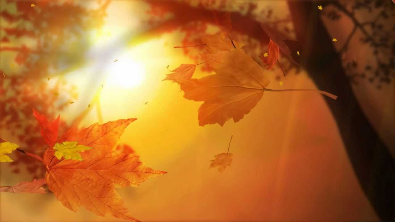 The Autumn Film