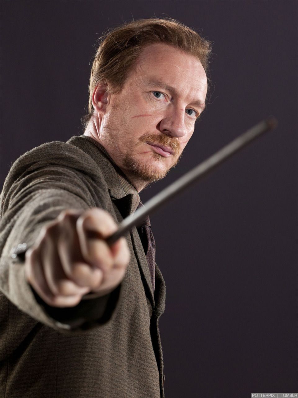 The Remus Lupins
