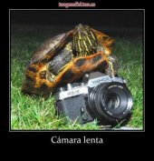 a camara lenta