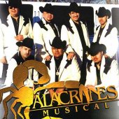 alacranes musical