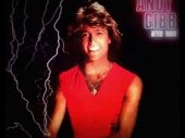 andy gibb