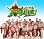 banda maguey