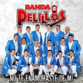 banda pelillos