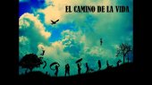 camino de vida