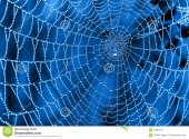 cobweb