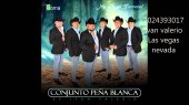 conjunto pena blanca