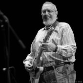 david bromberg