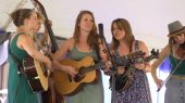 della mae