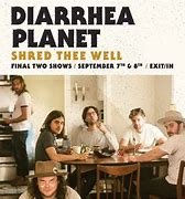 diarrhea planet