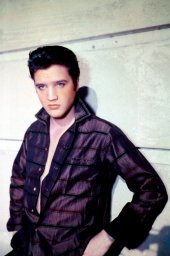 elvis presley