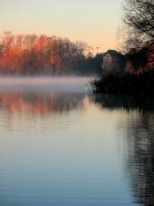 fog lake