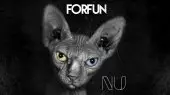 forfun