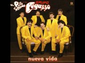 grupo pegasso