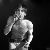 Iggy Pop