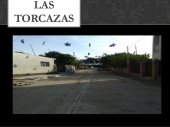 las torcazas