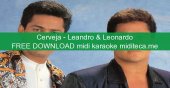 leandro amp leonardo