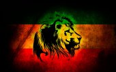 lion reggae