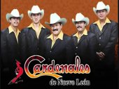 los cardenales de nuevo leon