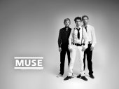 muse