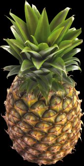 pineapple