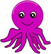 pulpo