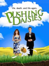 pushing daisies