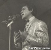 ray palaviccino