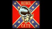 rebel cats