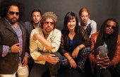 rusted root