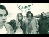 screaming trees