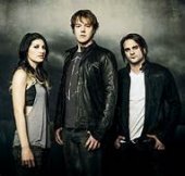 sick puppies