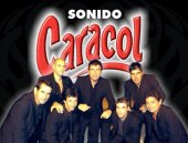 sonido caracol