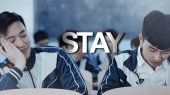 stay