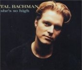 tal bachman